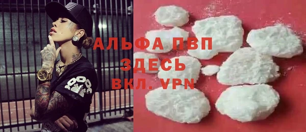 прущие грибы Арсеньев