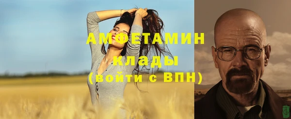 прущие грибы Арсеньев