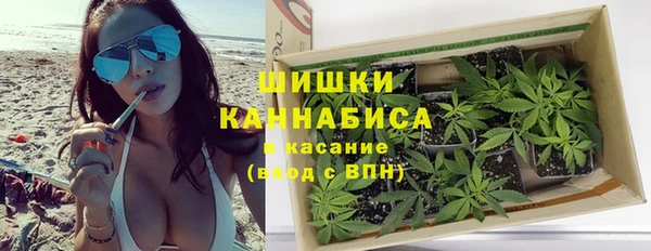 прущие грибы Арсеньев