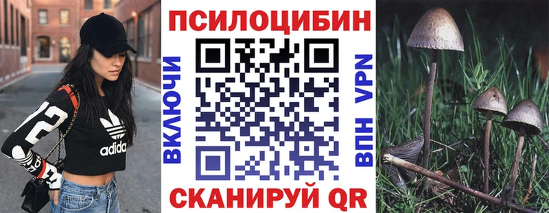 купить закладку  Асбест  Галлюциногенные грибы Magic Shrooms 